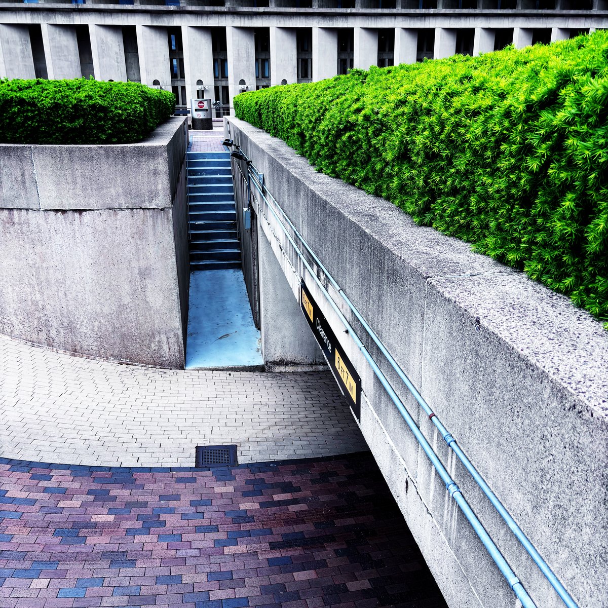 A concrete passageway with bright green hedge and brick paving